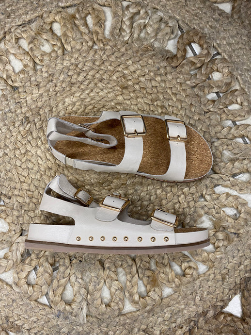 Quiley - Vanilla Gold