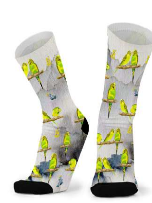 Budgie Socks