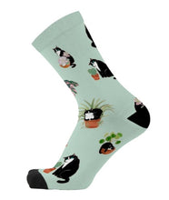 Cats & Plants Socks