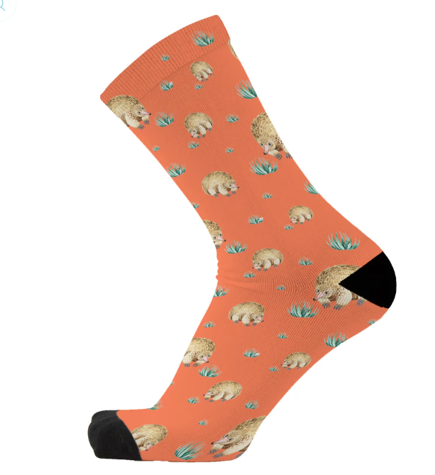 Charming Echidna Socks