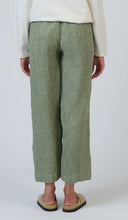 Naomi Pant - Oregano