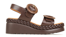 Menorca - Chestnut