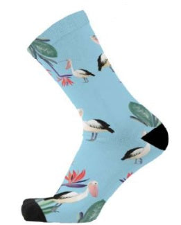 Paradise Pelicans Socks