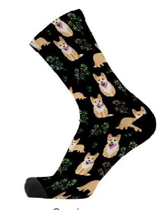 Corgi Socks