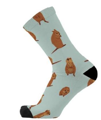 Cutie Quokka Socks